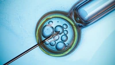 ICSI vs IVF