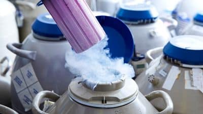 donor egg and sperm IVF by morningsun