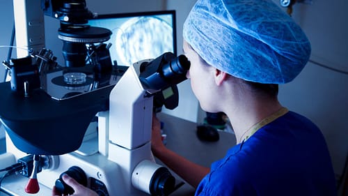 IVF Clinics in Mumbai by morningsun